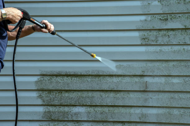 Best Driveway Cleaning and Restoration in South Hill, VA