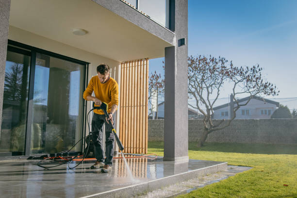 Best Roof Cleaning and Mildew Removal in South Hill, VA