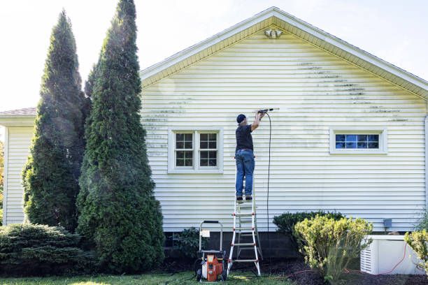 Best Brick and Stone Cleaning in South Hill, VA